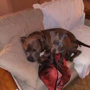 Meet your Posher, Jamie